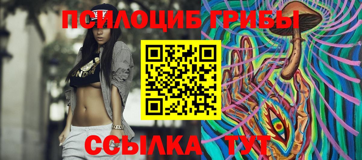 Бирск  Псилоцибиновые грибы прущие грибы  Галлюциногенные грибы Psilocybine cubensis  Вход с VPN 